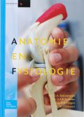 Voorkant - Anatomie en fysiologie
