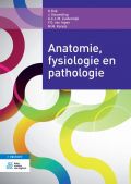 Voorkant - Anatomie, fysiologie en pathologie