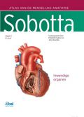 Voorkant - Sobotta 2 Inwendige organen